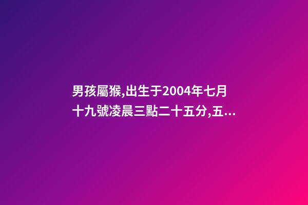 男孩屬猴,出生于2004年七月十九號凌晨三點二十五分,五行缺什么 2004年屬猴時辰命運，2004年幾點出生更好